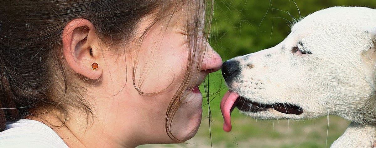 The Lick of Love (Is a Dog's Flora Bad for You?)